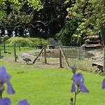 Domaine Des Celestins - Grange Aux Fees *