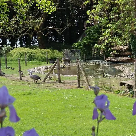 Domaine Des Célestins - Grange Aux Fées *