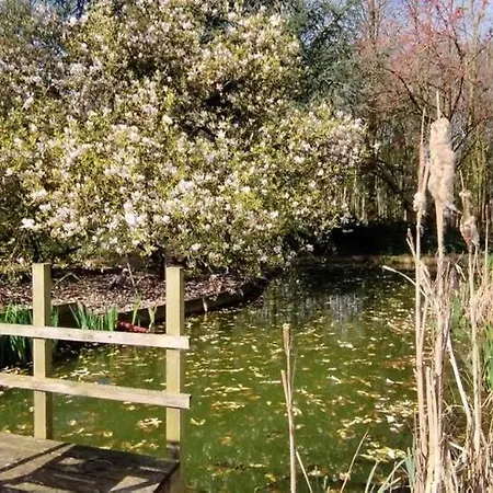 Domaine Des Celestins - Grange Aux Fees